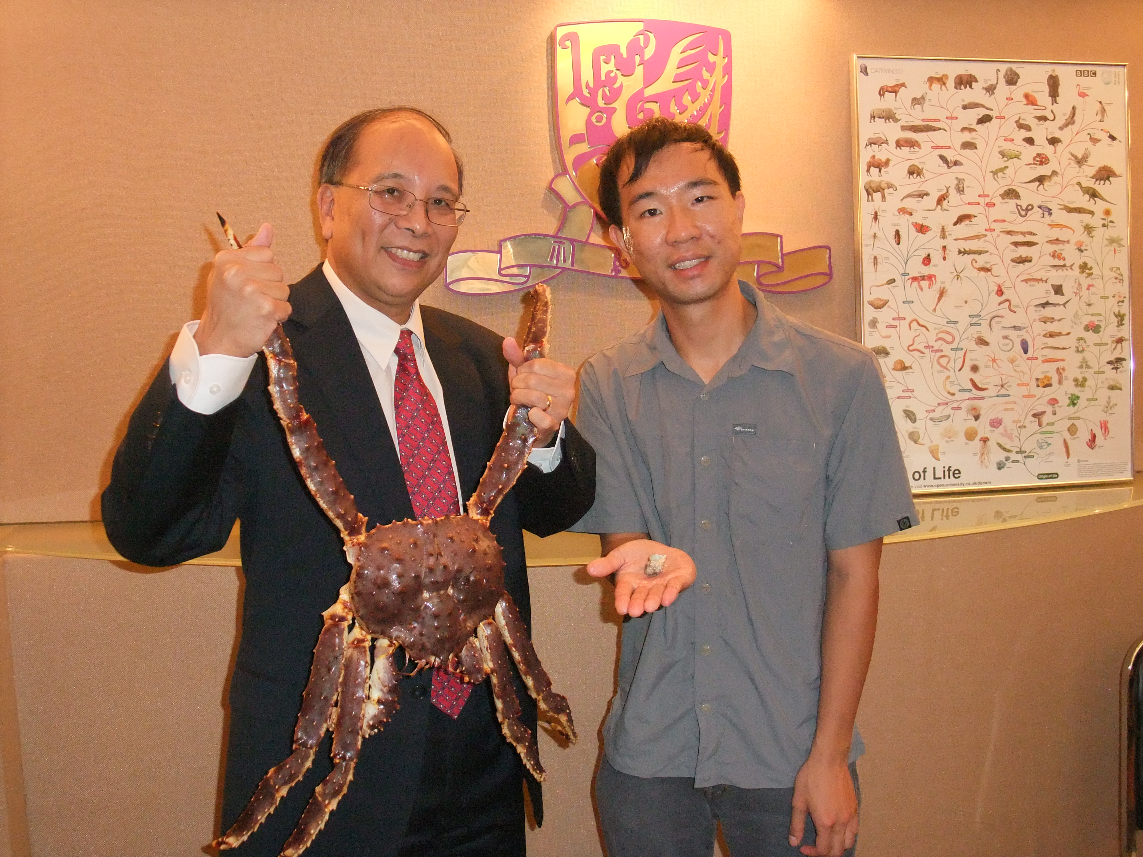 Prof. Chu Ka-hou (left) and Dr. Tsang Ling-ming show the dramatic difference in size between king crabs and hermit crabs.