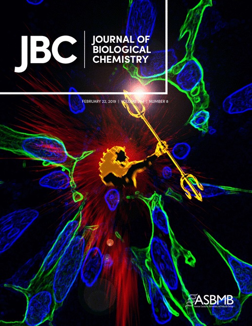 JBC cover story: AQAMAN is displayed as a hero breaking down toxic protein aggregations inside a cell.