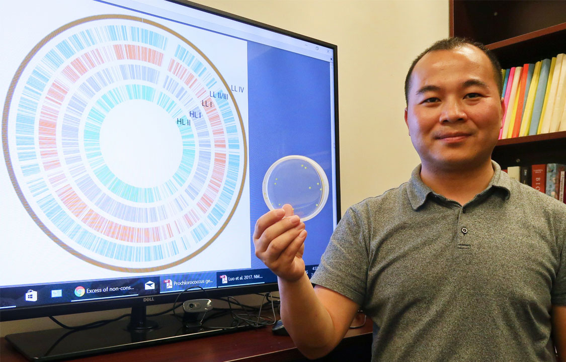 D 2017 CUHK Scientists Use Tiny Marine Bacteria to Trace Earths History