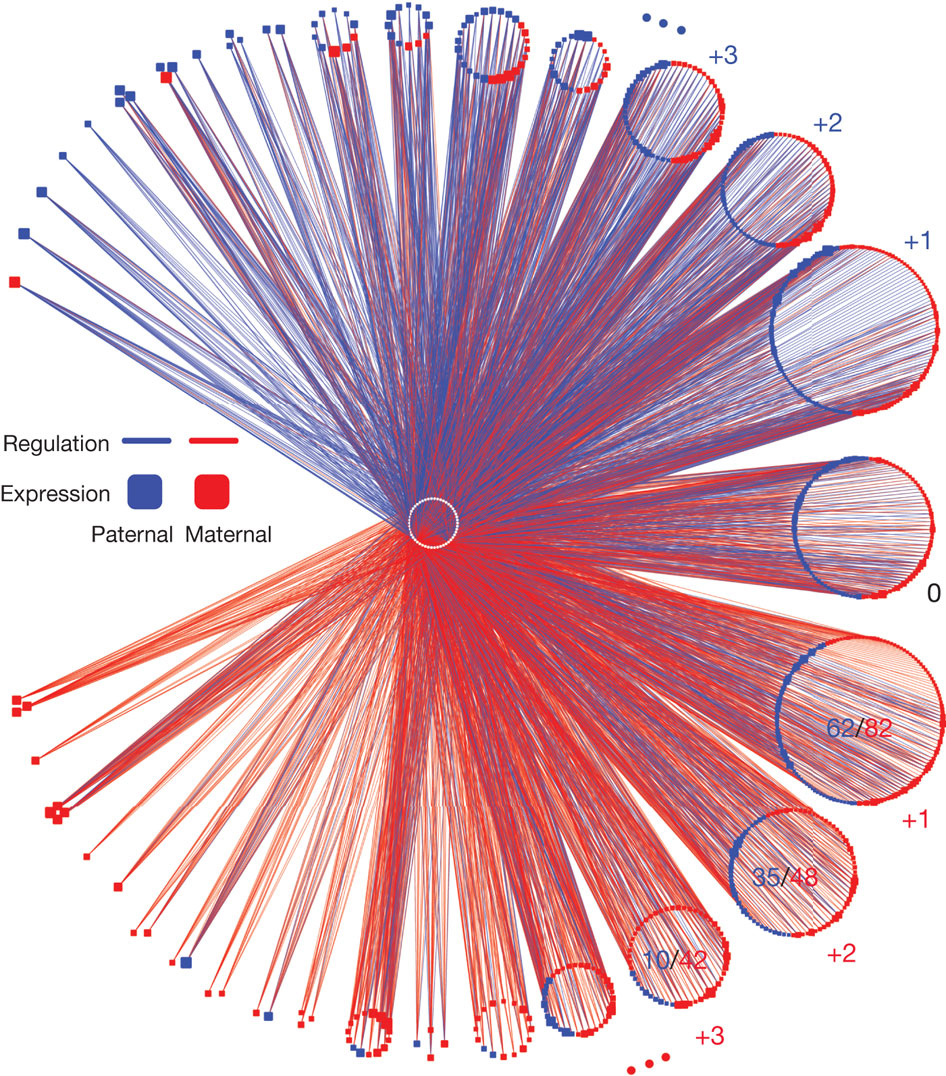 Architecture of the Human Regulatory Network Derived from ENCODE Data