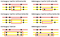 OMSV Enables Accurate and Comprehensive Identification of Large Structural Variations from Nanochannel-based Single-Molecule Optical Maps