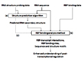 Analysis of Sequencing Data for Probing RNA Secondary Structures and Protein-RNA Binding in Studying Post-Transcriptional Regulations