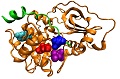 Identification of Specificity Determining Residues in Peptide Recognition Domains using an Information Theoretic Approach Applied to Large-Scale Binding Maps