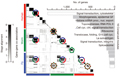 Comparative Analysis of the Transcriptome across Distant Species