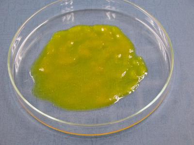 image: Mixture on a Petri dish – Before drying