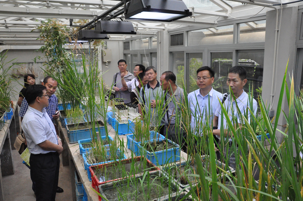 Visit to Greenhouse