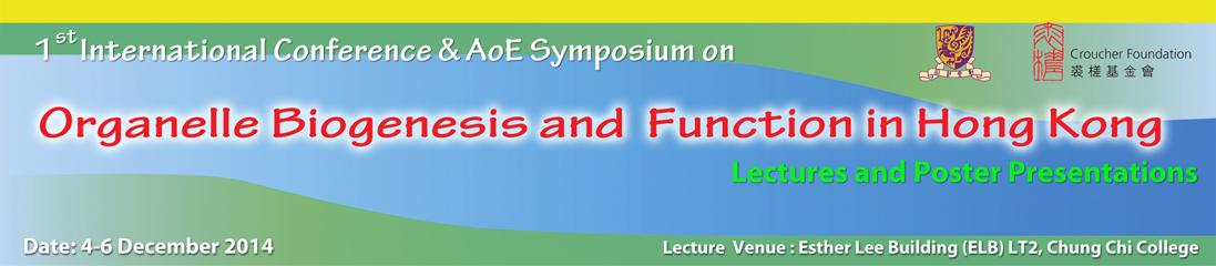 aoesymposium