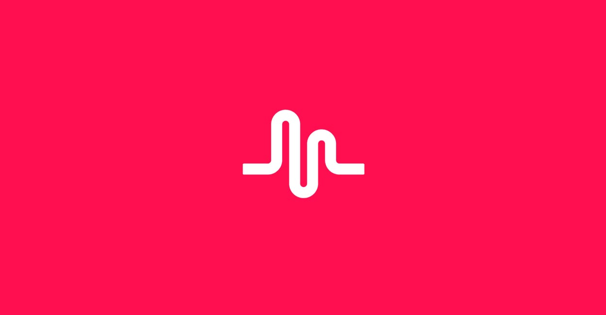 musically-login-help-app-free-music-usage-company-social-media-expert