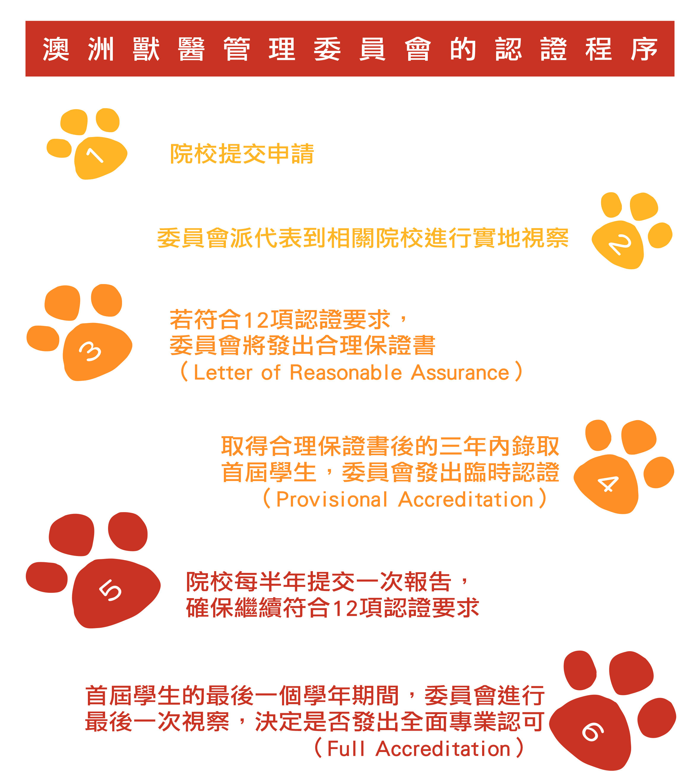 127_veterinarian_flow