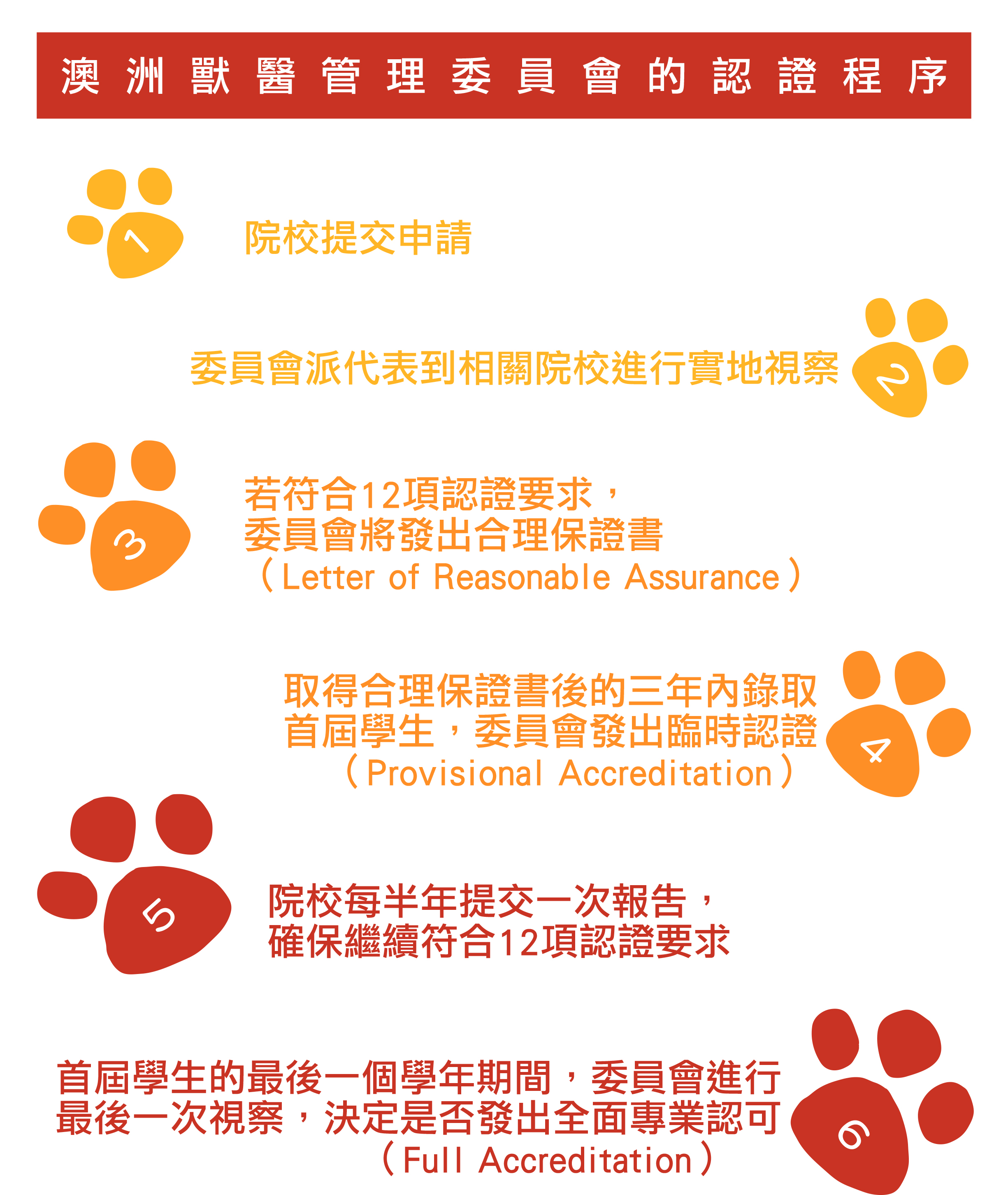 127_veterinarian_flow