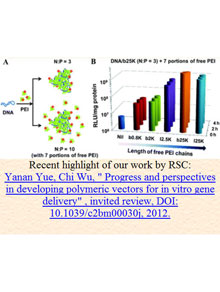 Progress and perspectives in developing polymeric vectors for in vitro gene
delivery