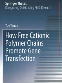 How Free Cationic Polymer Chains Promote Gene Transfection