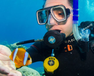 Exploring the reefs in Australia