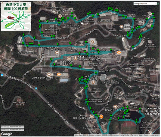 cuhk-campus-100-plants-thumb