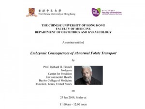 Embryonic Consequences of Abnormal Folate Transport @ Allan Chang Seminar Room, 1E O&G Department