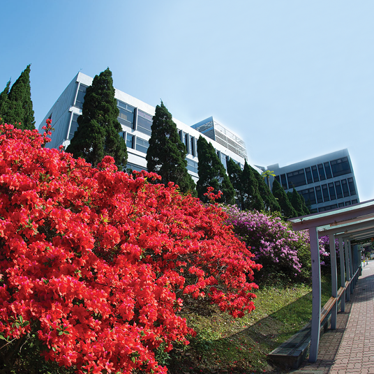 Flowers in University Administration Building