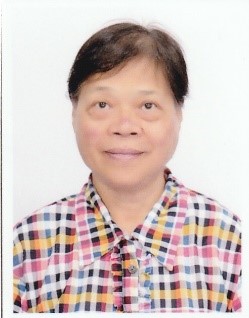 photo of Professor WONG Hoi Chu