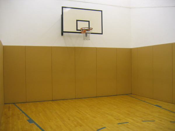 Basketball Shooting Court