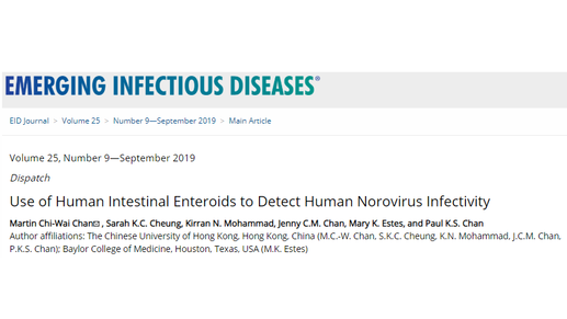 Detecting infectious norovirus by new culture system