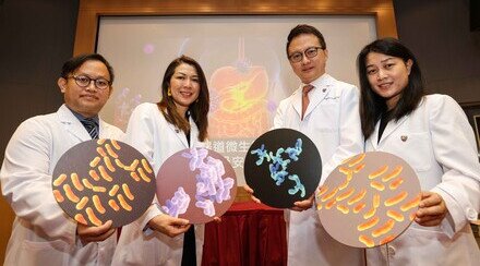 Joint CUHK-HKU study discovers efficacy of COVID-19 vaccines correlates with a probiotic bacterium, Bifidobacterium adolescentis