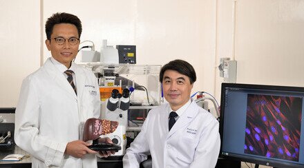 CUHK Uncovers a New Strategy to Turn “Cold” Liver Tumour “Hot” Leading to an Effective and Durable Combined Immunotherapy