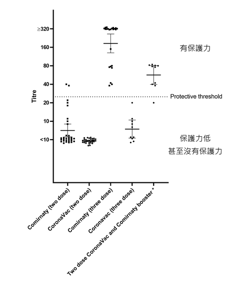 Virus neutralising ("killing") antibody levels in blood of those immunised and boosted with Comirnaty or CoronaVac vaccines.