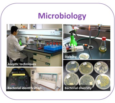 Microbiology