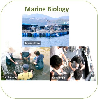 Marine Biology