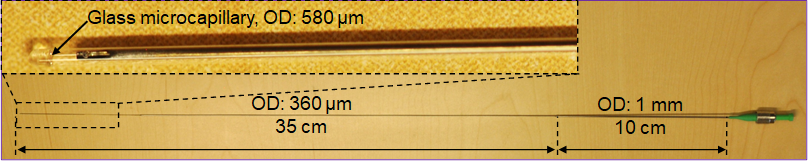 microneedle for deep brain imaging