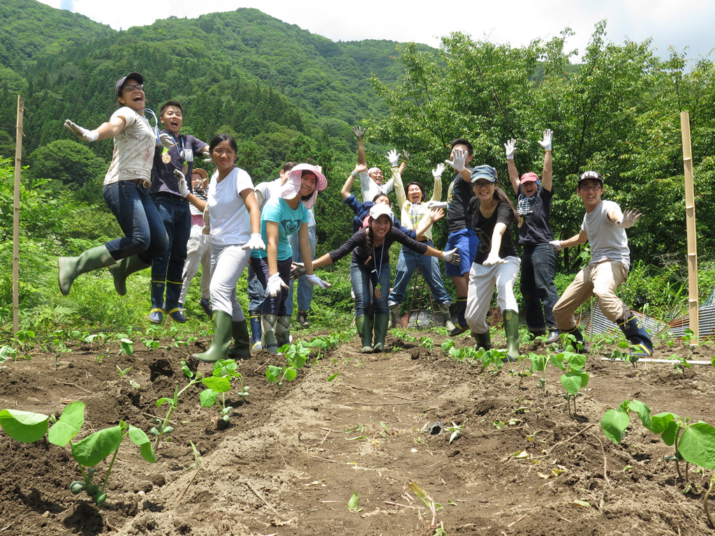 Service Learning Programme International