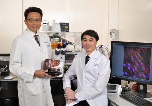 A study conducted by Professor Alfred CHENG (left), Professor from the School of Biomedical Sciences, and Professor Ka Fai TO, Chairman of the Department of Anatomical and Cellular Pathology, at CU Medicine, has uncovered a cancer-promoting gene called HDAC8 is responsible for maintaining tumours that are immune cell-excluded.