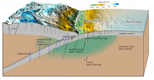 Figure 2:  Pervasive faults within the Pacific plate are generated by plate bending before it is subducted, providing pathways to transport water into the Earth. Under certain temperature and pressure conditions, seawater interacts with rocks to form hydrous minerals (green area: serpentinized upper mantle) that lock the water into the rock. Then the water is carried into the subduction zone by the downgoing plate and some of it may be released by the dehydration process.