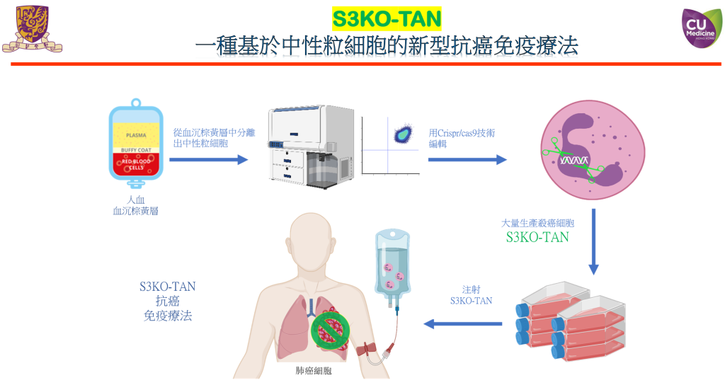 The novel immunotherapy S3KO-TAN is genetically engineered from the most abundant immune cell type in human blood – neutrophils.