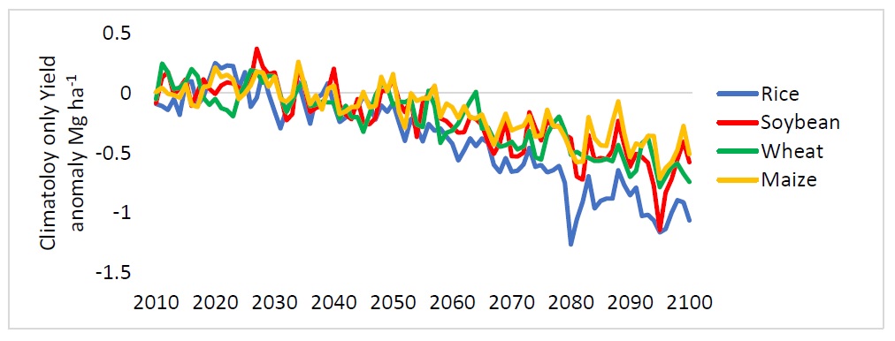 This graph shows the yield difference when climate change in RCP8.5 scenario is considered, compare to if climate change is not considered. This shows that rice is the most sensitive to extreme weather events from climate change.