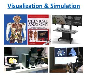 XR applications for medical visualisation and surgical simulation