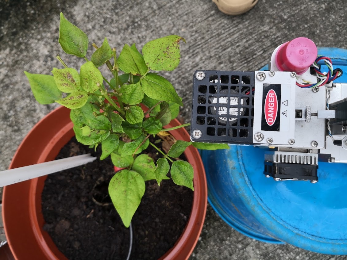 A Li-cor photosynthesis system was used to measure the photosynthetic rate of the plant.