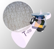 This figure shows the proposed double-prism ellipsometer design to fully resolve the terahertz birefringence of skin in vivo. The circular region behind shows the microscope image of skin.