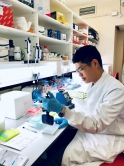 Timothy performs whole genome amplification (WGA) at the Weatherall Institute of Molecular Medicine