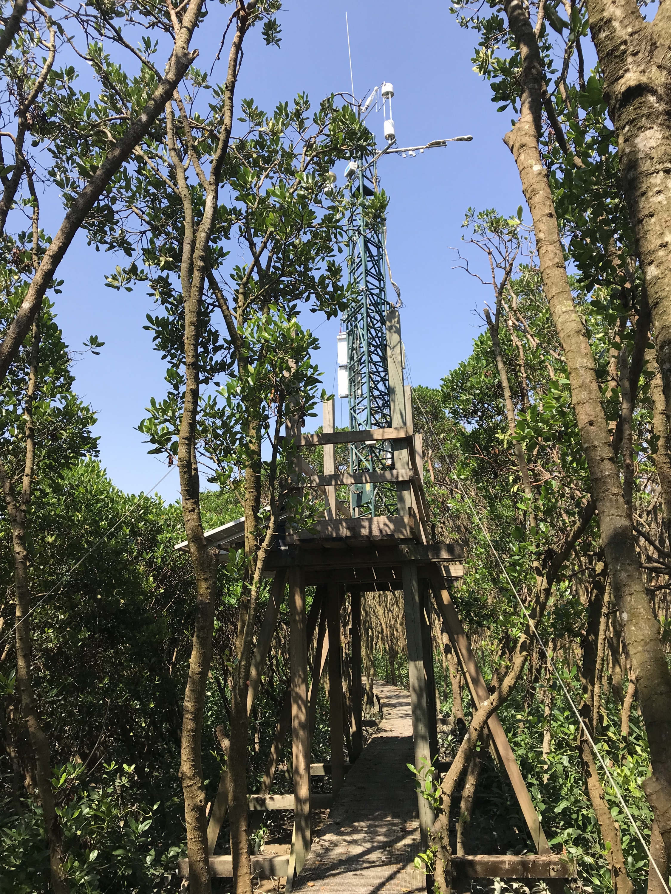 The eddy covariance system installed at the Mai Po Marshes for the continuous monitoring of ecosystem-scale exchange of carbon dioxide and methane between the mangrove and the atmosphere.