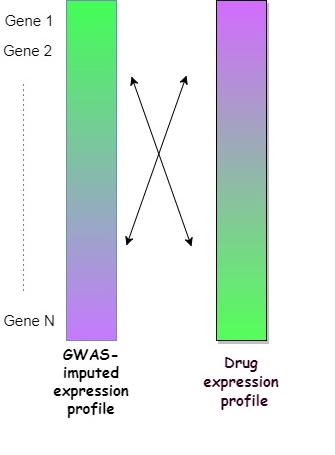 By comparing and looking for reversal patterns in two sets of expression profiles, GWAS of a disease and a specific drug candidate, research team could understand the utility of the drug to the target disease.