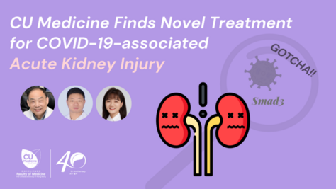 中大研究揭示新冠肺炎患者急性腎損傷的新機制和治療方法
