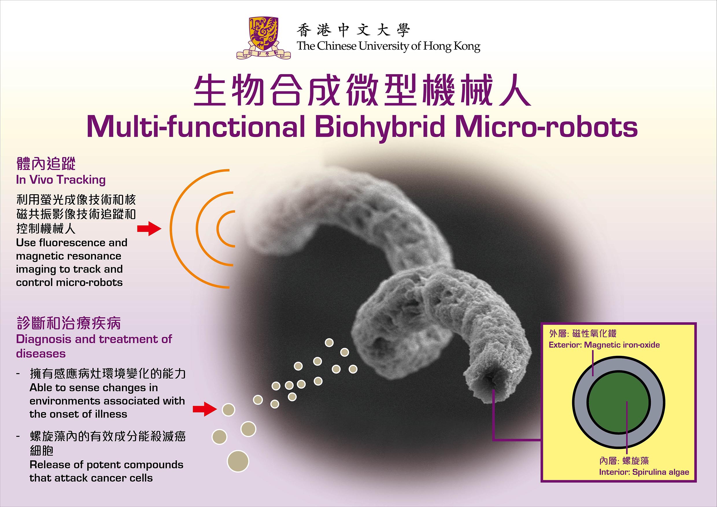 Multi-functional biohybrid microbot