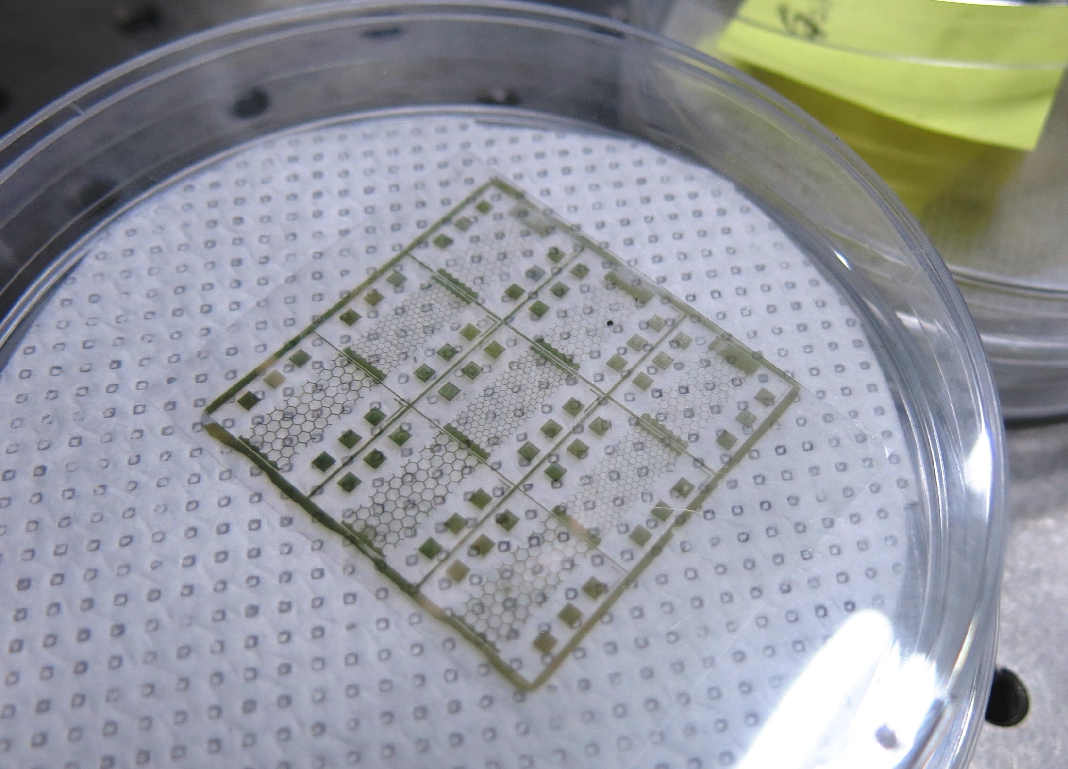 A gold mesh electrode printed by the roll-to-roll microcontact printing system.