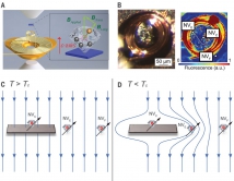 Schematic illustration of experimental configurations and detection concepts.
(A) An exploded view of the pressure cell design. The sample (blue) is located in the high-pressure chamber together with a collection of diamond particles. Each diamond particle is a sensitive local field sensor. 
(B) (Left) Photograph of the microcoil with sample on top of the anvil. (Right) Fluorescence image from the confocal scan showing the microcoil and NV centers.