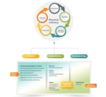 Mobility Patterns and Fall Mechanisms in Older Adults