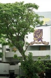 CUHK