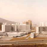 Prince of Wales Hospital, 1984