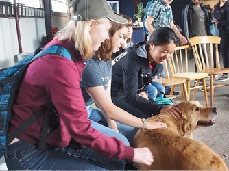 Students play with a dog at one of the service organizations