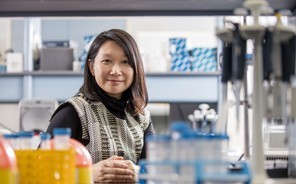 Professor Rossa Chiu Awarded Prestigious Hong Kong Research Fellowship