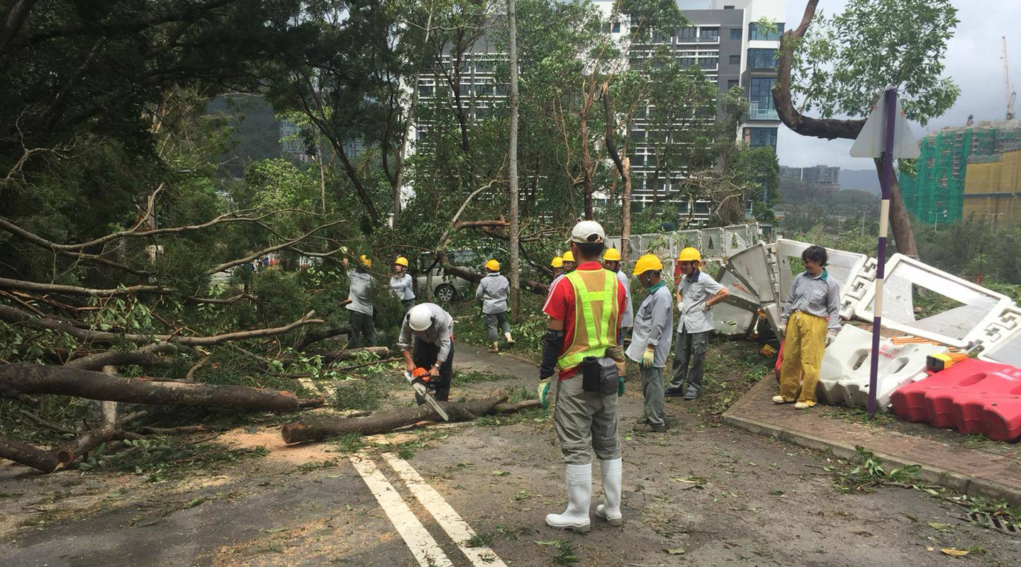 Clearing the road